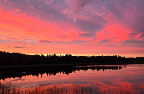 Admaston/Bromley Cabin | Lake front private Bunkies …accommodates 6 people!