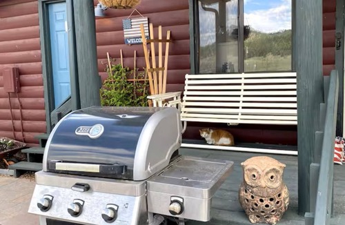 Lake George Cabin | Lake George Cabins & RV Park, Cabin 8, The Stars Await