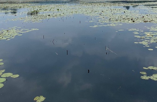 Dingmans Ferry House | Lake House Retreat- pedal boat, kayaking and fishing