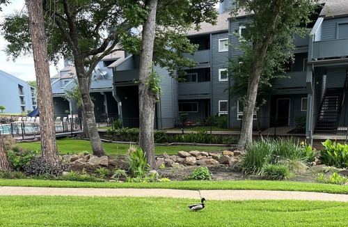 Walden on Lake Conroe Condo | Lake Life Condo with Brook, Lake, & Pool Views