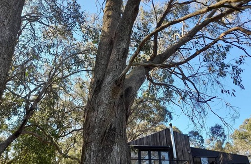 South Bowenfels Cabin | Lake Lyell Tiny Cabin, 4x4 and AWD access only