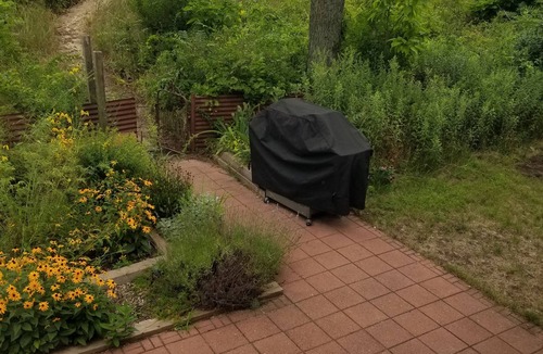 Miller Beach Apartment | Lake Michigan Beachfront Unit *Fall Sale! Send request for year round prices.