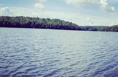 Laporte Cottage | Lake Mokoma Cottage