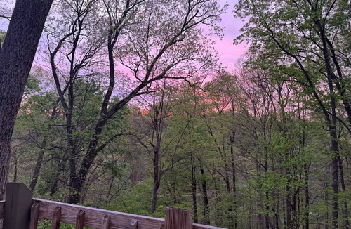 Avoca Condo | Lake Monroe treehouse - Bloomington