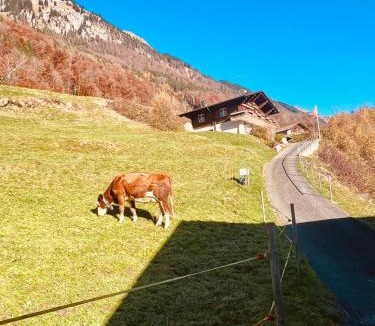 Niederried bei Interlaken Apartment | Lake & Mountain Retreat - Lake Brienz & Interlaken