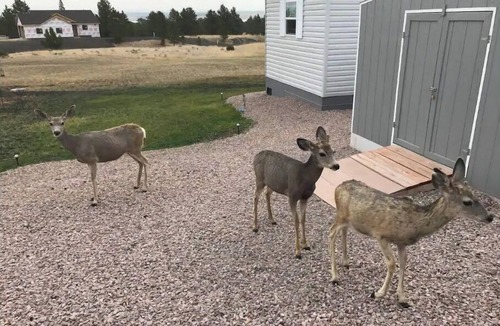 Pine Haven House | Lake & Mountain View Guesthouse