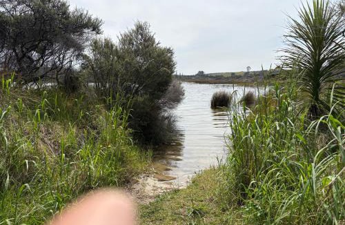 Awanui House | Lake Ngatu Cottage
