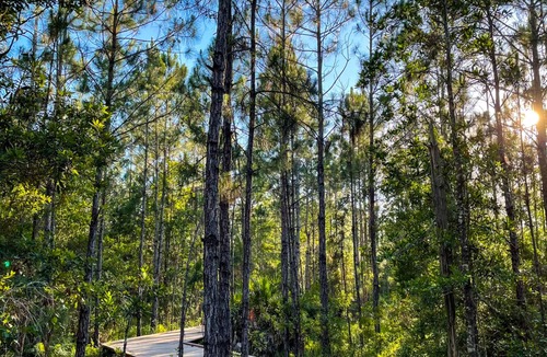 Lake Nona Hotel | Lake Nona Wave Hotel