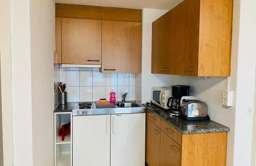 Niederried bei Interlaken Apartment | Lake View Apartment - 12