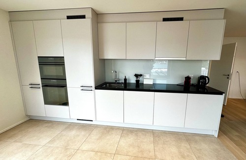 District 2 Apartment | Lake view apartment in Wollishofen