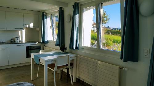 Horgen District House | Lake View Private Studio