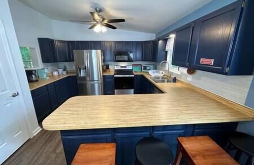 Wise House | Lakefront 3 Bed/2 Bath/Kayaks/EV