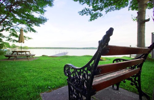 Springwater Cottage | Lakefront Cedar Haven- Free use Canoe and Kayak, 1 hr from Toronto