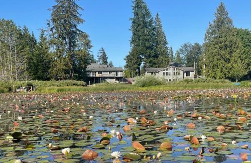 Silver Lake House | Lakefront Gem Balcony, Fire Pit and Yard in Everett