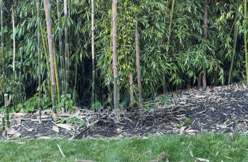 Silver Lake House | Lakefront Gem Balcony, Fire Pit and Yard in Everett