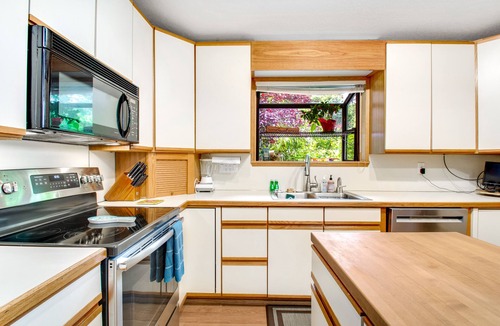 East Olympia House | Lakefront home with private dock, paddleboat, fast WiFi, deck, grill & W/D