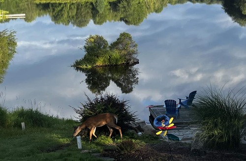 Pocono Lake Cottage | Lakefront Home with Amazing Views!