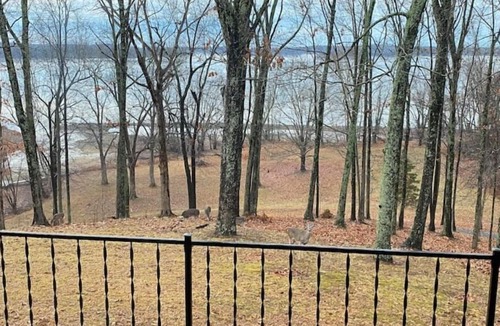 Kuttawa House | Lakefront Lake Barkley- Renovated Nature Retreat