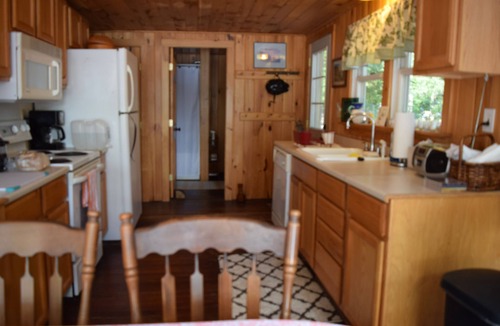 Raymond Cabin | Lakefront, private dock & deck, dog friendly, fast wifi on crystal clear Panther