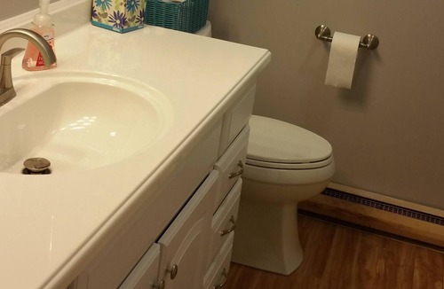 Vestaburg Cabin | Lakefront Rental in Stanton, MI