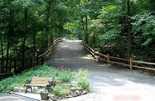 Union Pier House | Lakefront! Secluded, HotTub, Fire Pit, Private Dock&boats 90 Min from Chicago