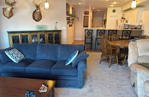 Camdenton Condo | Lakefront Sierra Bay Retreat with Rustic Charm