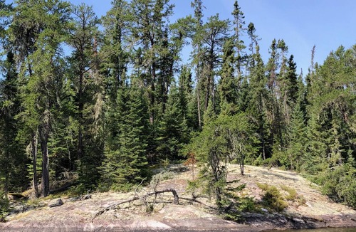 Perrault Falls Cottage | Lakehouse105 cottage