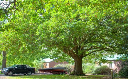 Camperdown Resort | Lakes and Craters Holiday Park