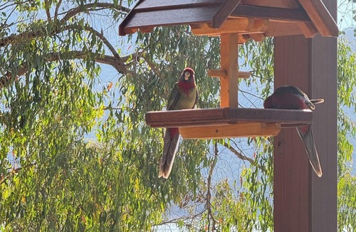 Taylor Bay House | Lakeside Abode at Taylor Bay | Lake Eildon