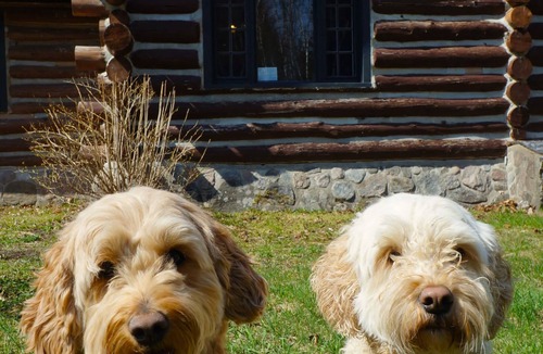 Blue Sea Ski Chalet | Lakeside Cozy Retreat : Morissette Base Camp