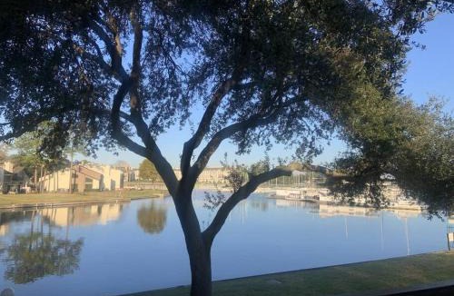 Walden on Lake Conroe Apartment | Lakeside Daze!