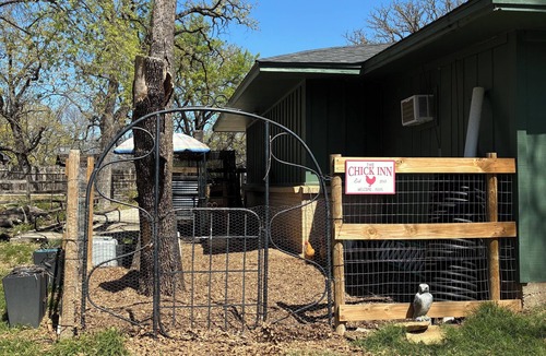 Flower Mound Cottage | Lakeside Greenhouse in Flower Mound w/pool & Trails and Lake Grapevine