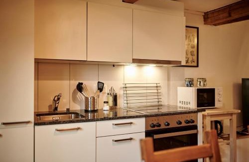 Brienz Ski Chalet | Lakeside Tiny House Brienz