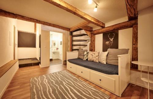 Brienz Ski Chalet | Lakeside Tiny House Brienz