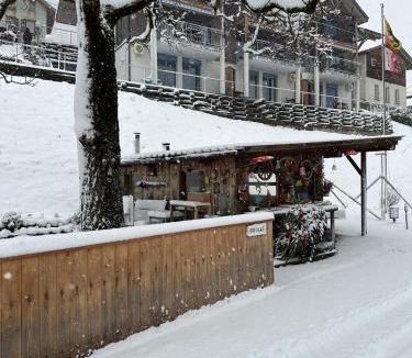 Niederried bei Interlaken Apartment | LakeSide Villa - 18