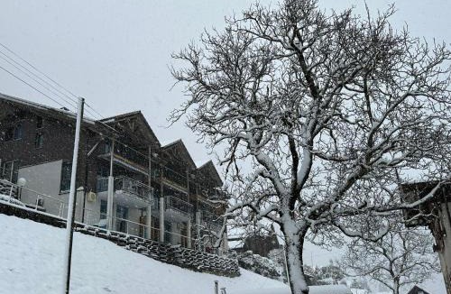Niederried bei Interlaken Apartment | LakeSide Villa - 18