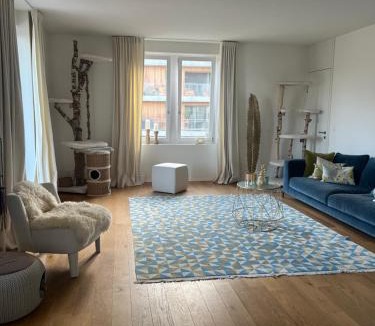 Horgen District House | Lakeview House