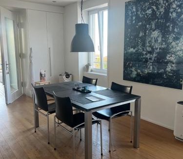 Horgen District House | Lakeview House