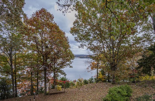 Springdale Cabin | LakeView on Raymond