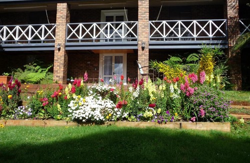 Emerald Apartment | Lakeview On Sycamore