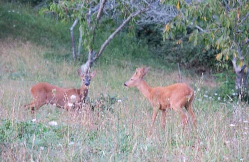Auriac-du-Perigord Bed & Breakfast | Lalande-Laborie