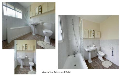 Hale Apartment | Laleham Avenue, London