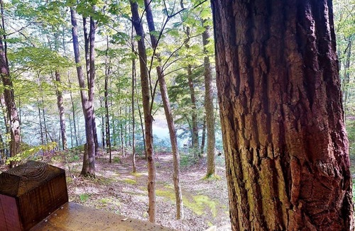 Walnut Mountain Cabin | Lallybroch on the Lake