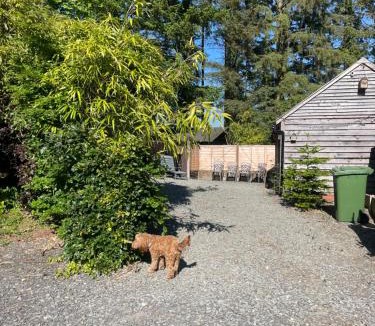 Hawkshead Apartment | Lama Lodge