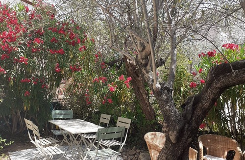 Nyons House | LAMAOLILOU