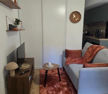 Salies-de-Bearn Apartment | Lanabi - Studio Cocon