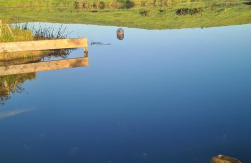 Te Kopuru House | Lanark Mews