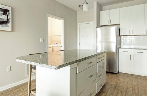 Land O' Lakes Apartment | Landing | Beautiful 1BD, Clubhouse, Gym
