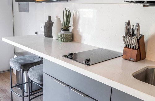 Hermitage Apartment | Landing | Incredible Studio in Downtown Hermitage