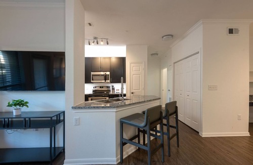 Austin Apartment | Landing | Modern 1BD, Pool, Courtyard